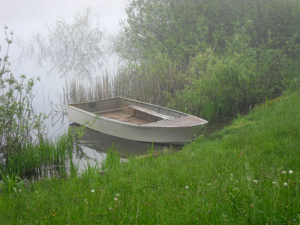 20. 4. 2016 - foto povečava