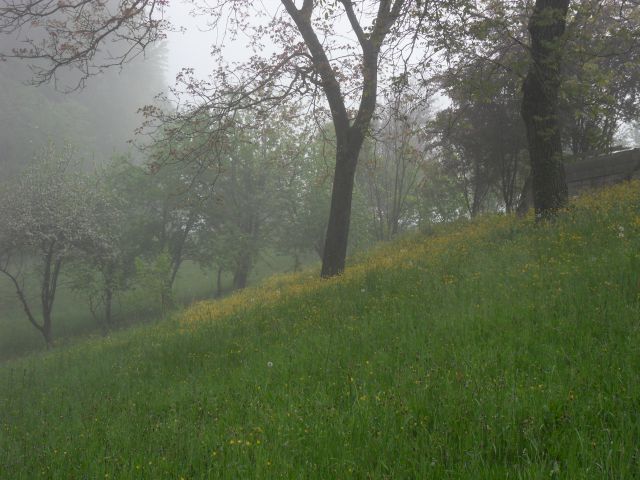 20. 4. 2016 - foto