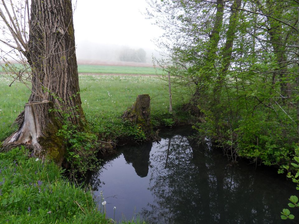 20. 4. 2016 - foto povečava