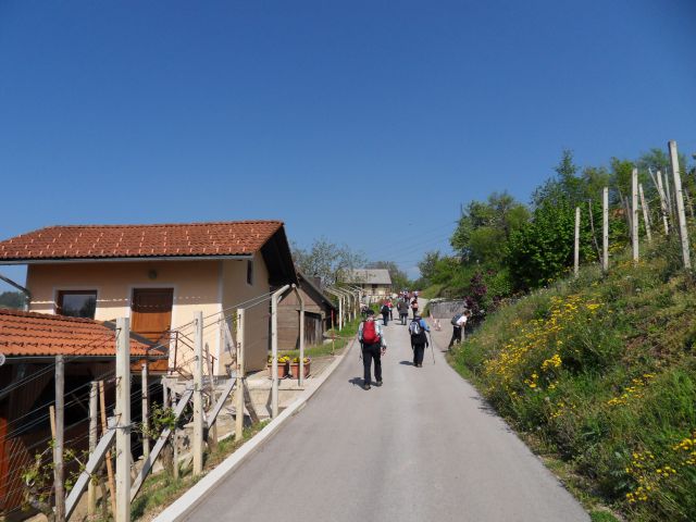 20. 4. 2016 - foto
