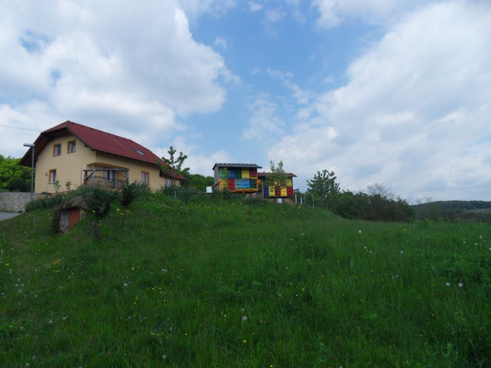 20. 4. 2016 - foto povečava