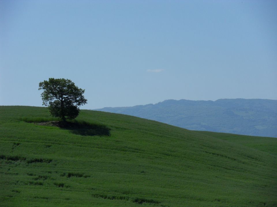 6. 5. 2016 - foto povečava