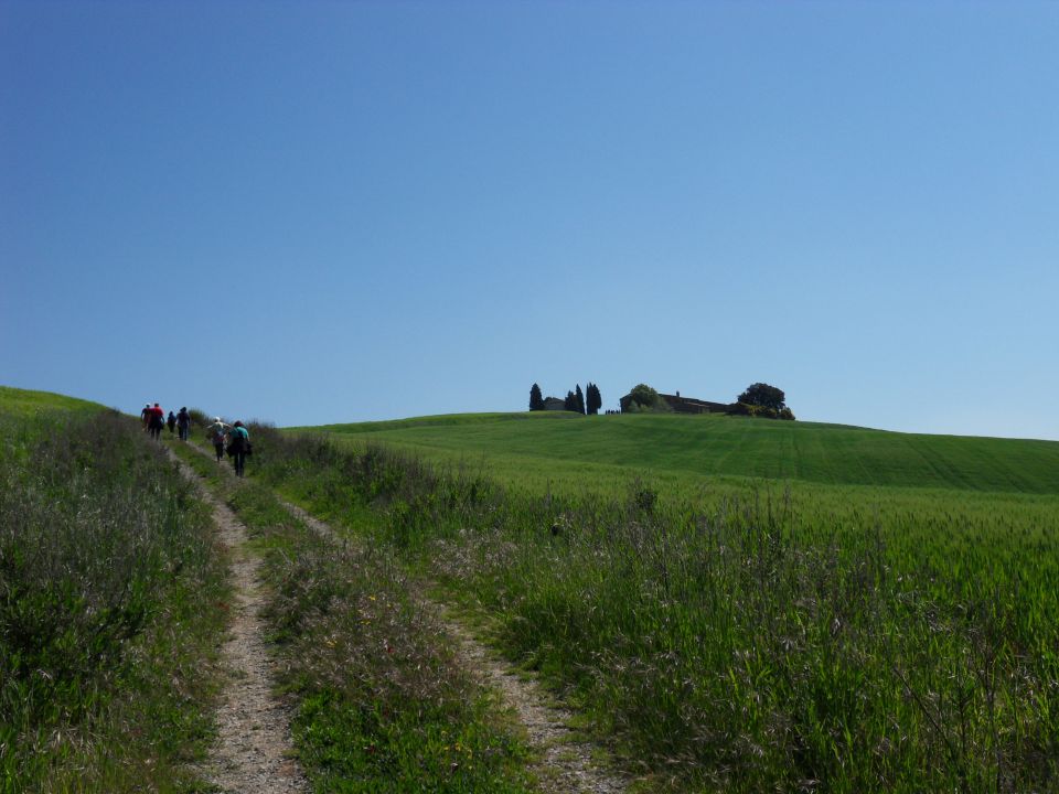 6. 5. 2016 - foto povečava