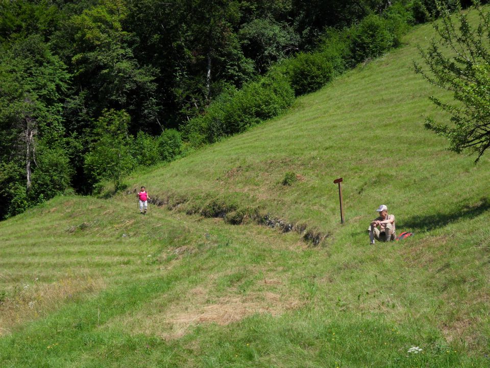 5. 7. 2016 - foto povečava