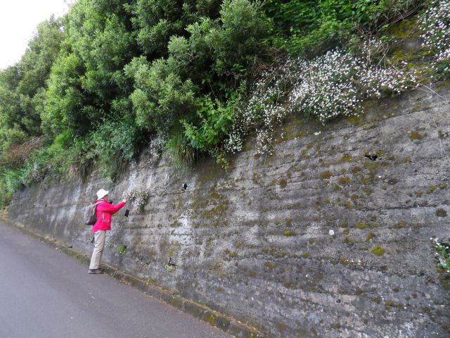 19. 6. 2016 - foto