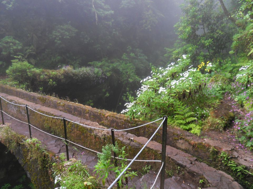 24. 6. 2016 - foto povečava