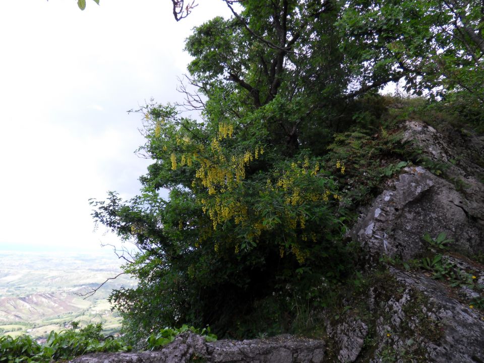 14. 5. 2016 - foto povečava