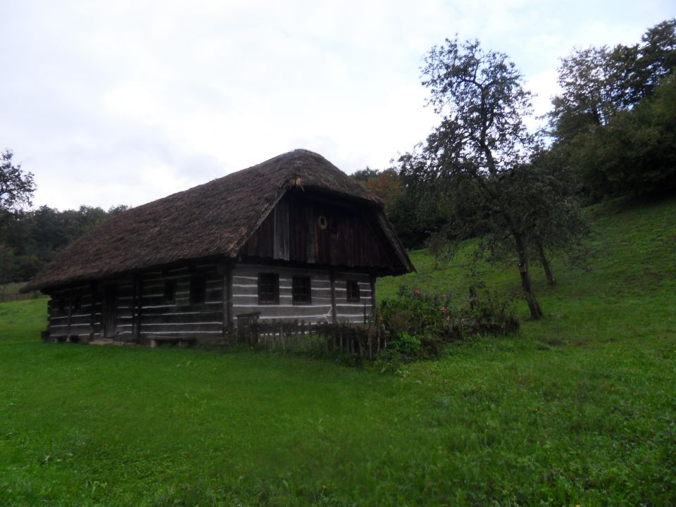 19. 9. 2016 - foto povečava