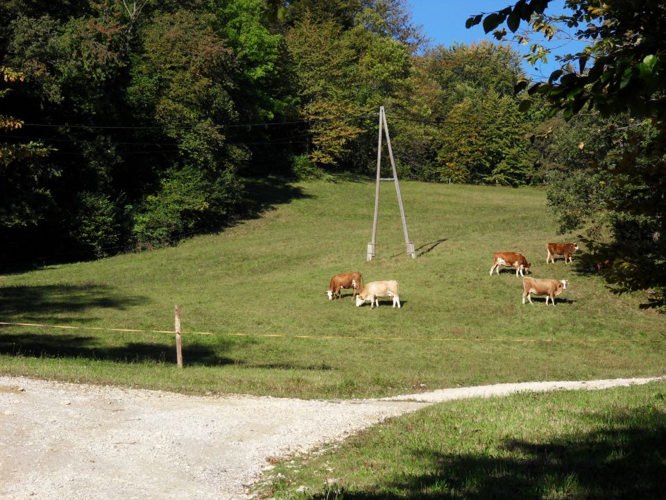 5. 10. 2016 - foto povečava