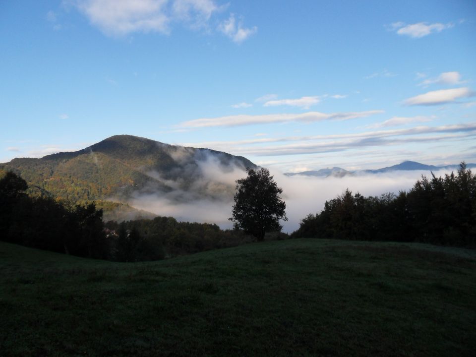 12. 10. 2016 - foto povečava