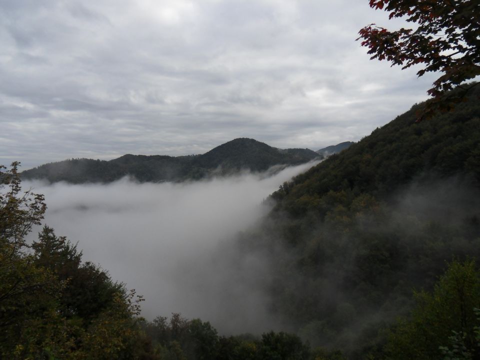 12. 10. 2016 - foto povečava