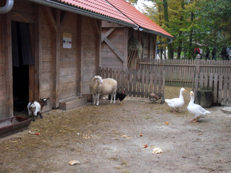 18. 10. 2016 - foto povečava