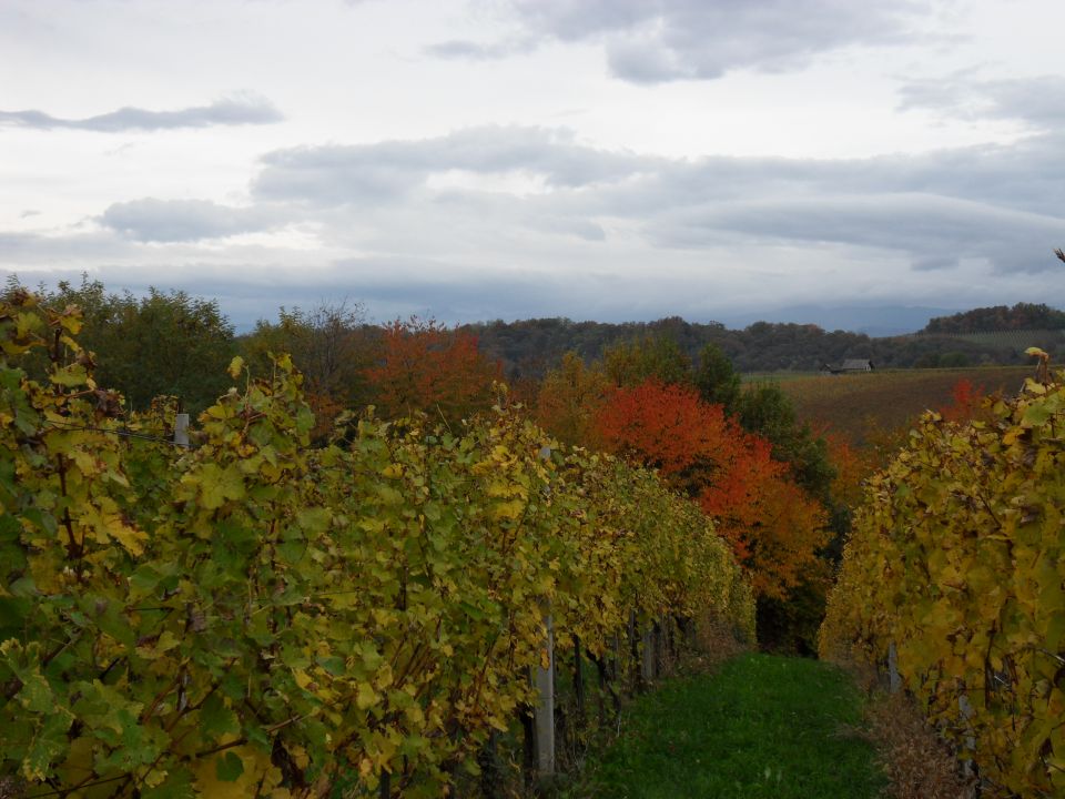 24. 10. 2016 - foto povečava