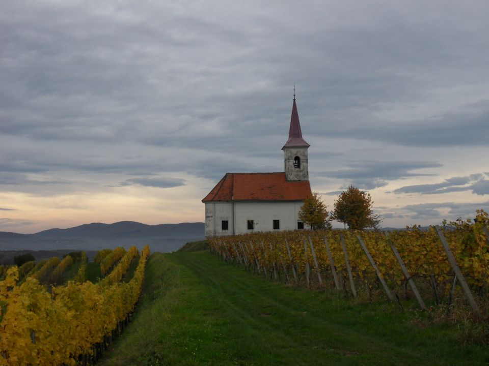 24. 10. 2016 - foto povečava