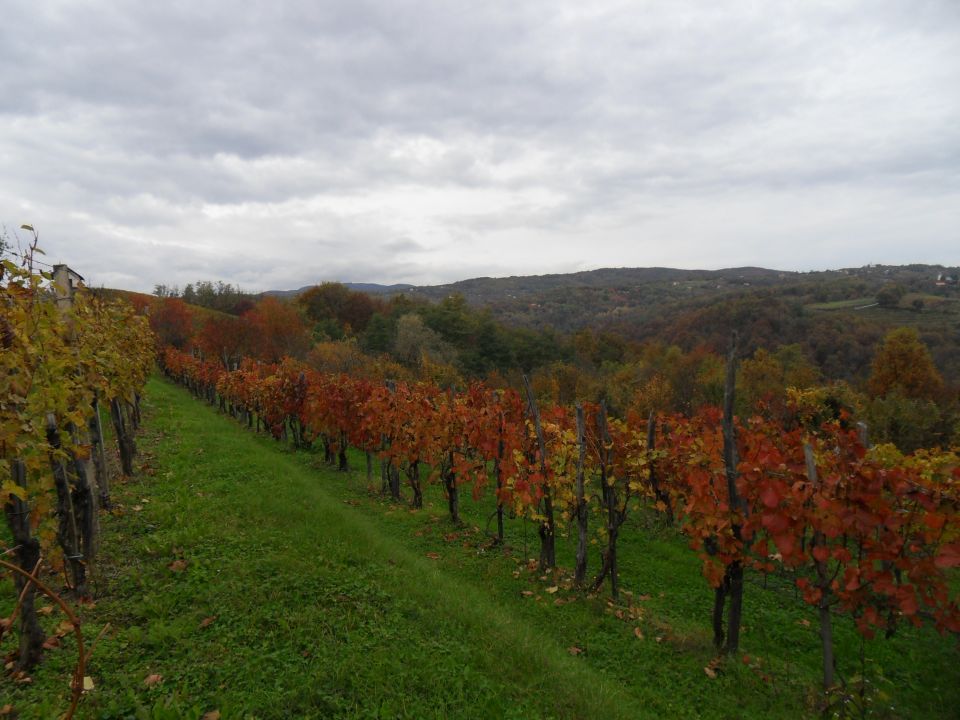 24. 10. 2016 - foto povečava