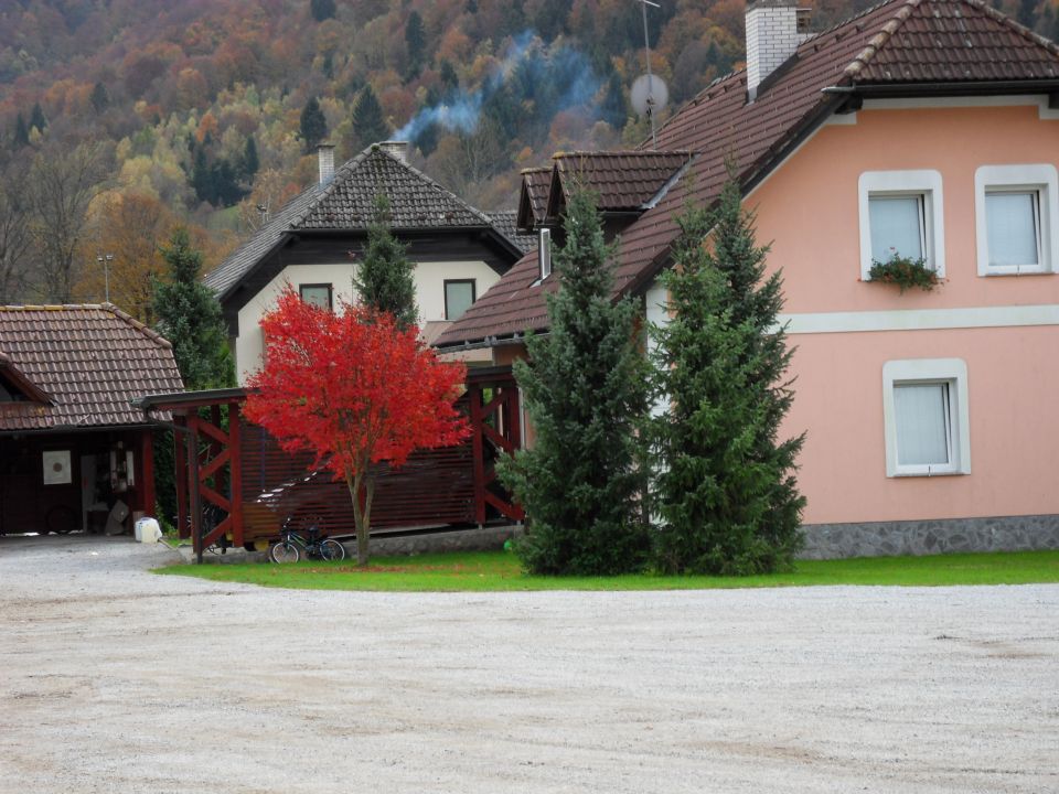 24. 10. 2016 - foto povečava