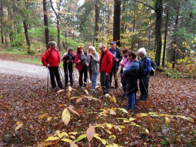 26. 10. 2016 - foto