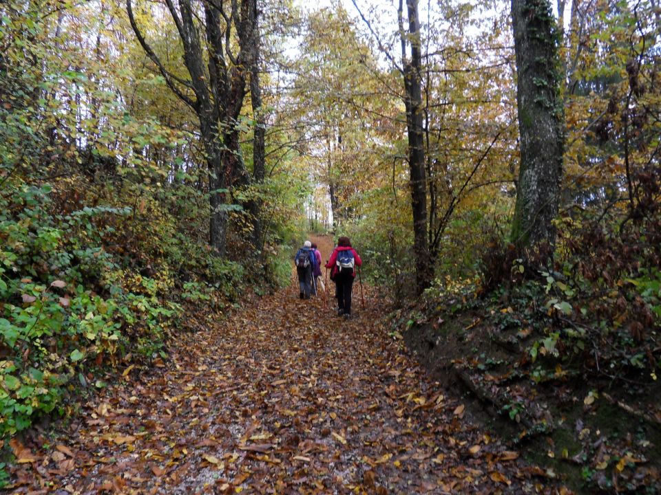 26. 10. 2016 - foto povečava