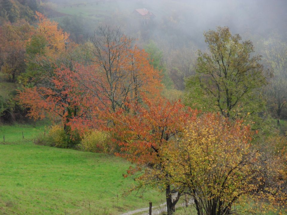 26. 10. 2016 - foto povečava