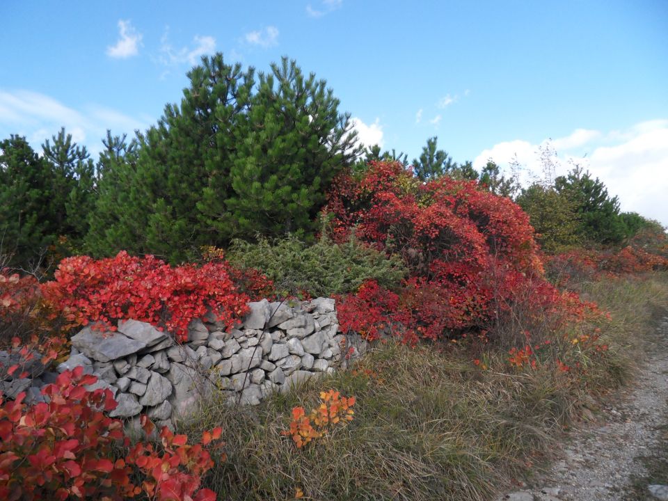 7. 11. 2016 - foto povečava