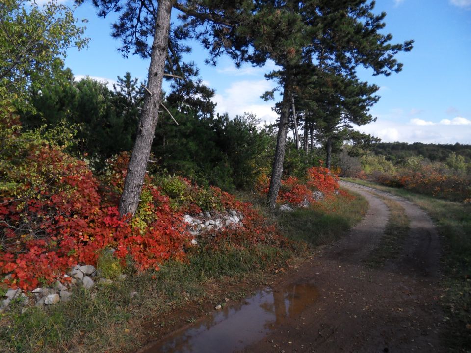 7. 11. 2016 - foto povečava