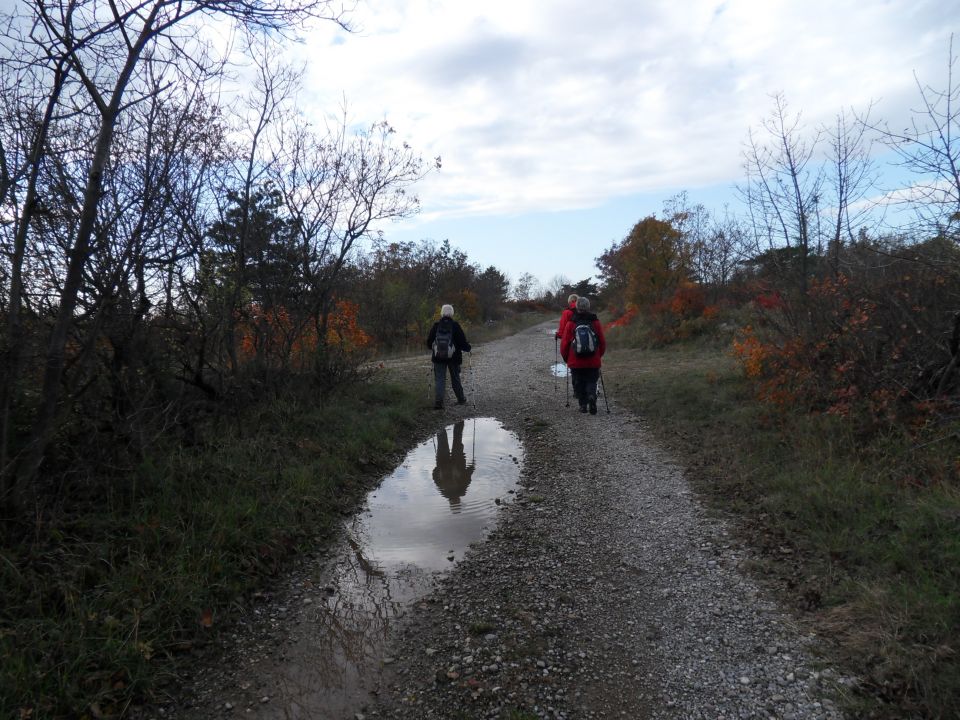 7. 11. 2016 - foto povečava