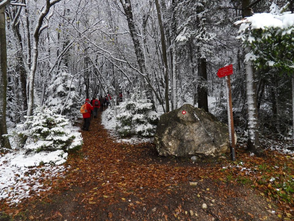 9. 11. 2016 - foto povečava