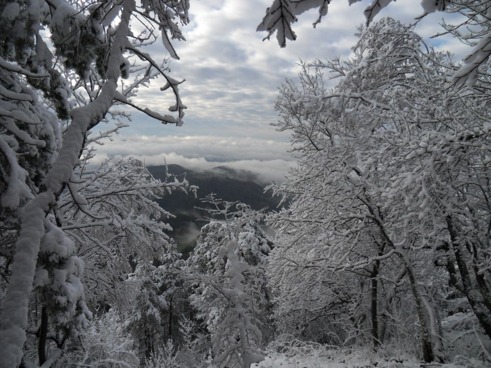 9. 11. 2016 - foto povečava