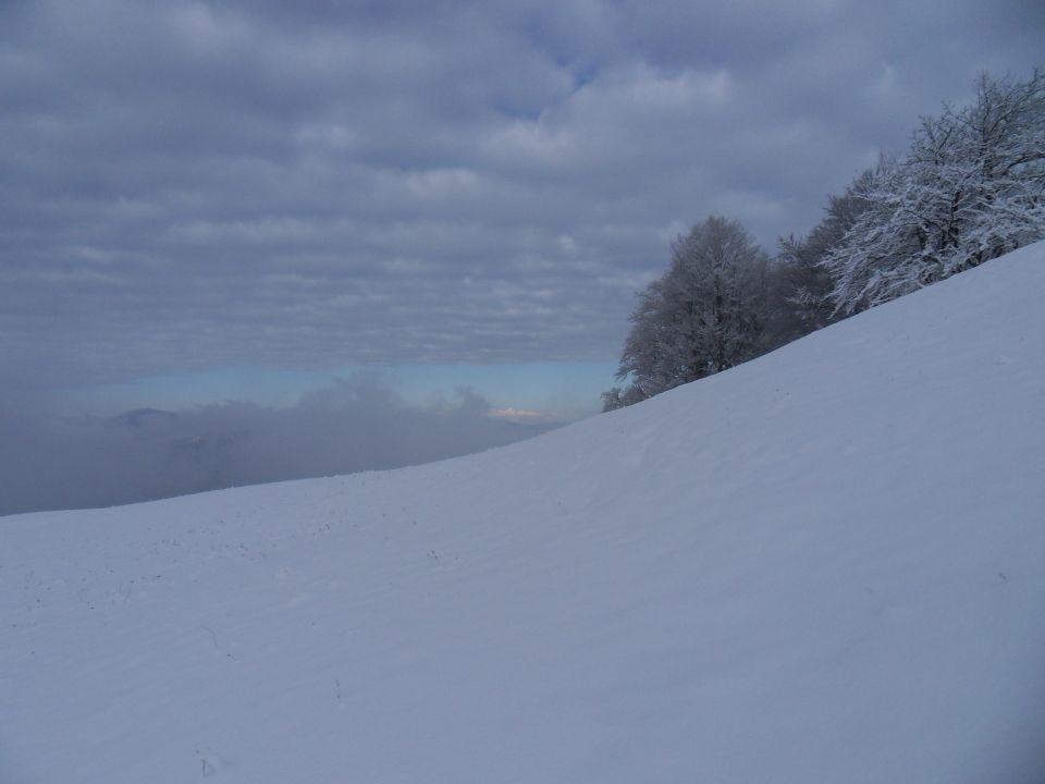 9. 11. 2016 - foto povečava