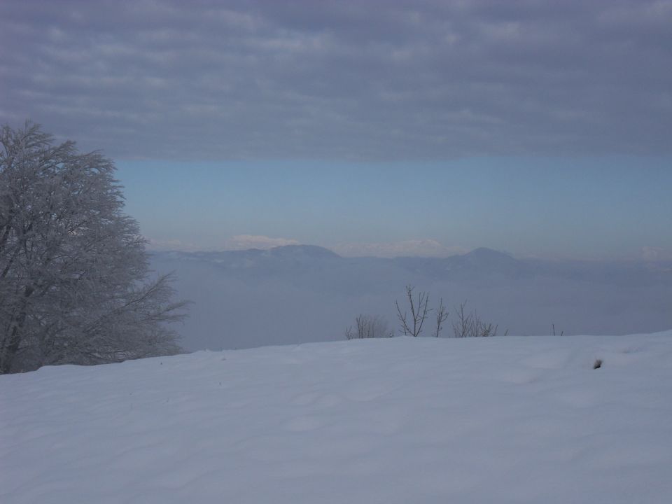 9. 11. 2016 - foto povečava