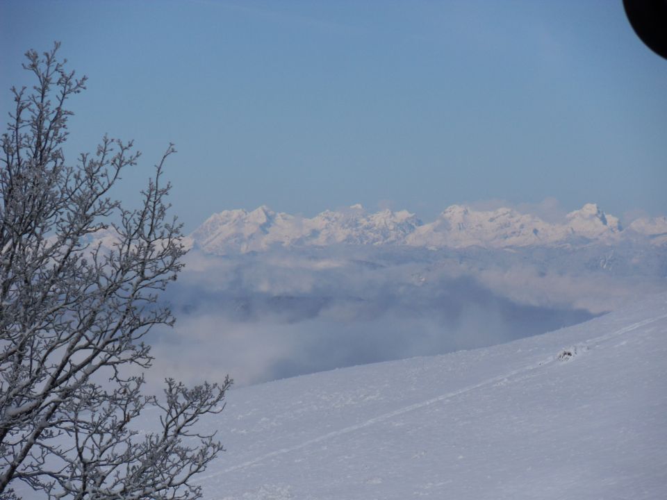 9. 11. 2016 - foto povečava