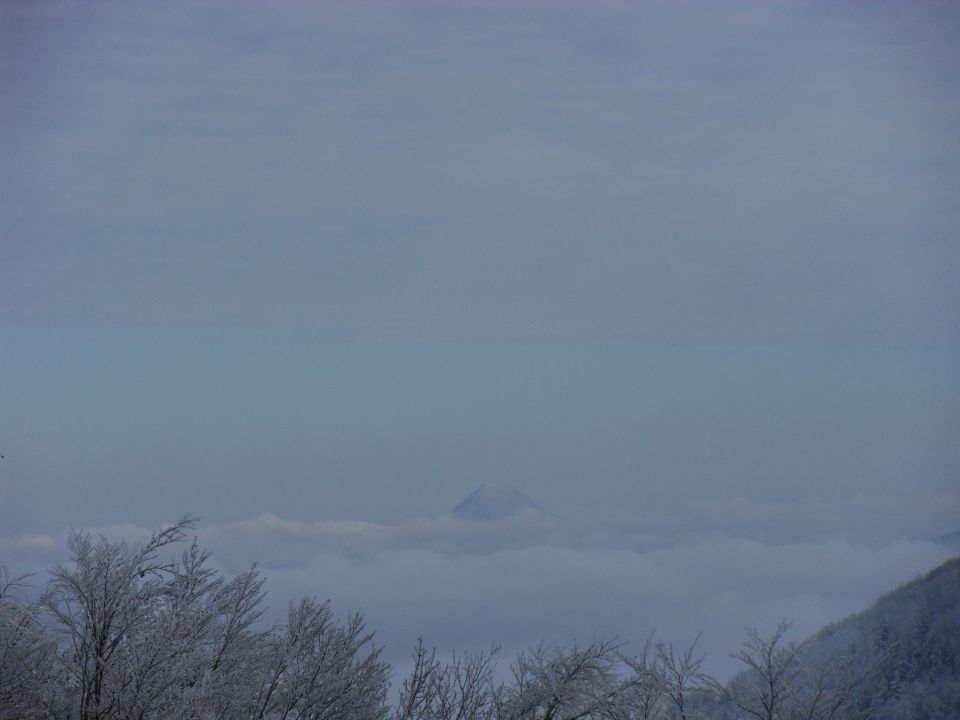 9. 11. 2016 - foto povečava