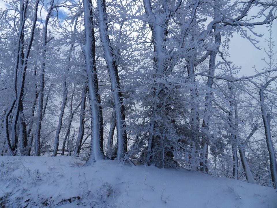 9. 11. 2016 - foto povečava