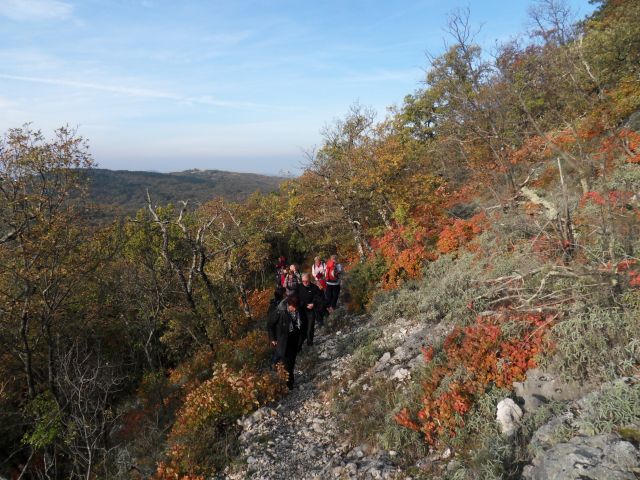 16. 11. 2016 - foto