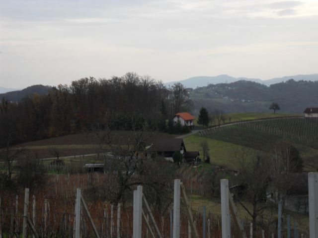 19. 11. 2016 - foto