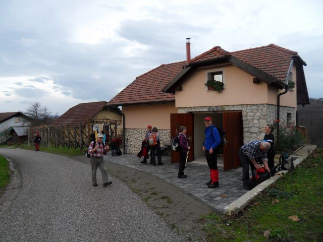 19. 11. 2016 - foto