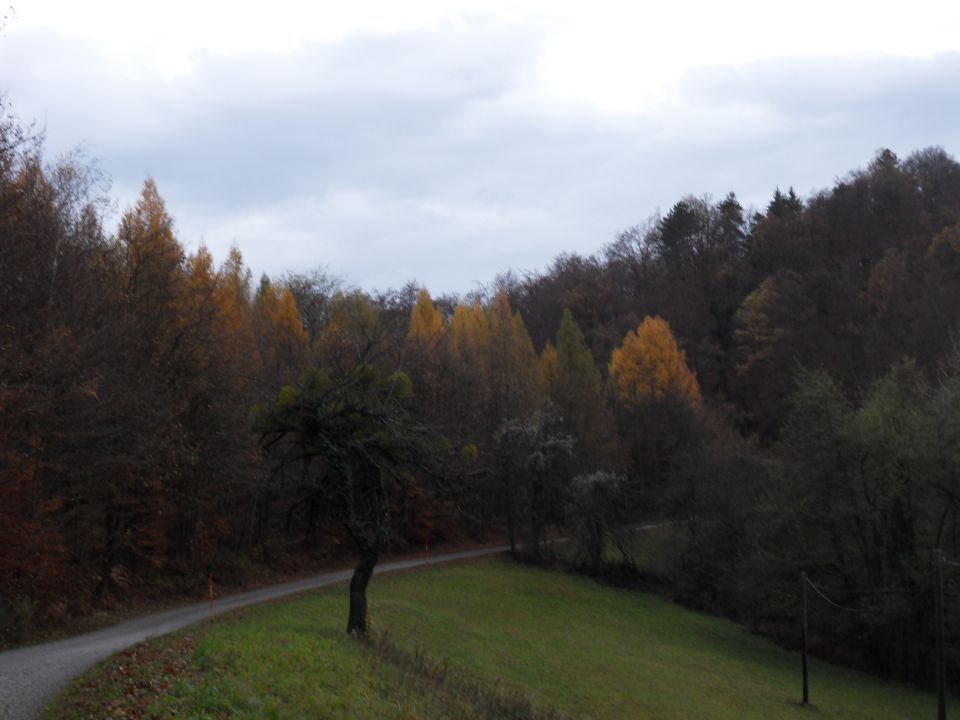 19. 11. 2016 - foto povečava