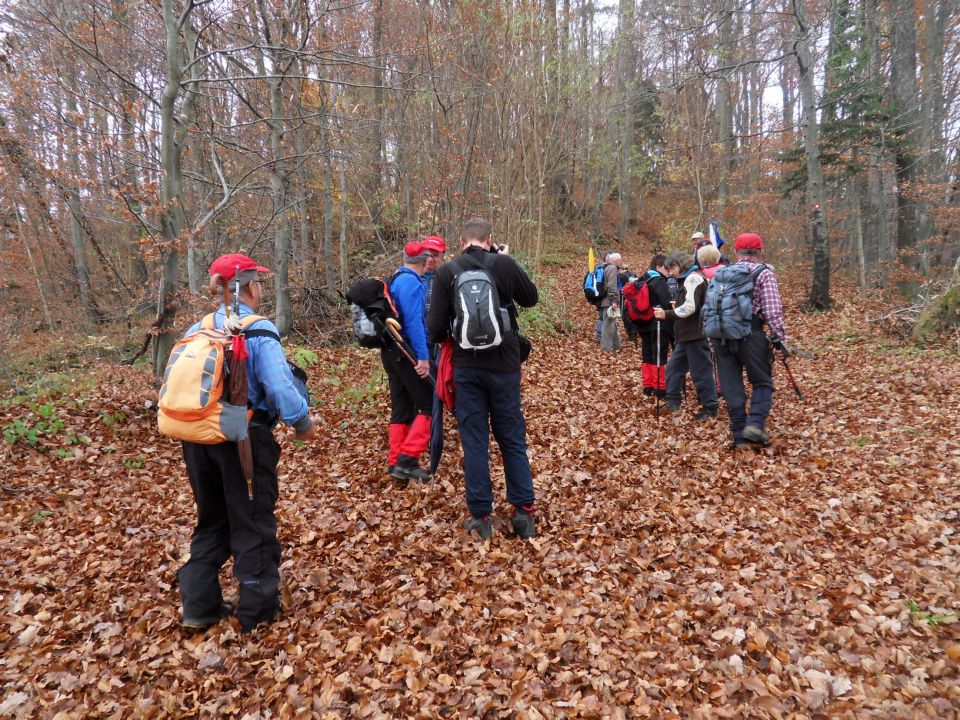 19. 11. 2016 - foto povečava