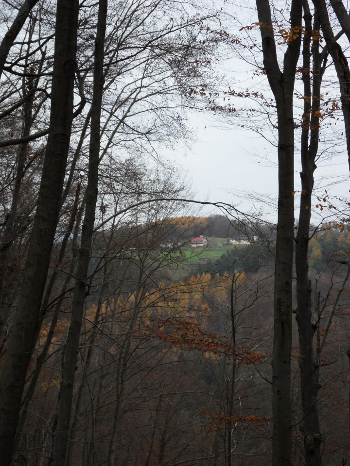 19. 11. 2016 - foto povečava