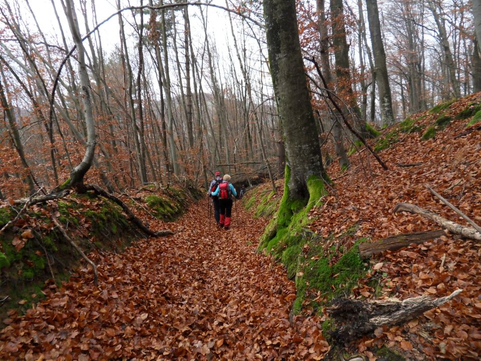 19. 11. 2016 - foto povečava