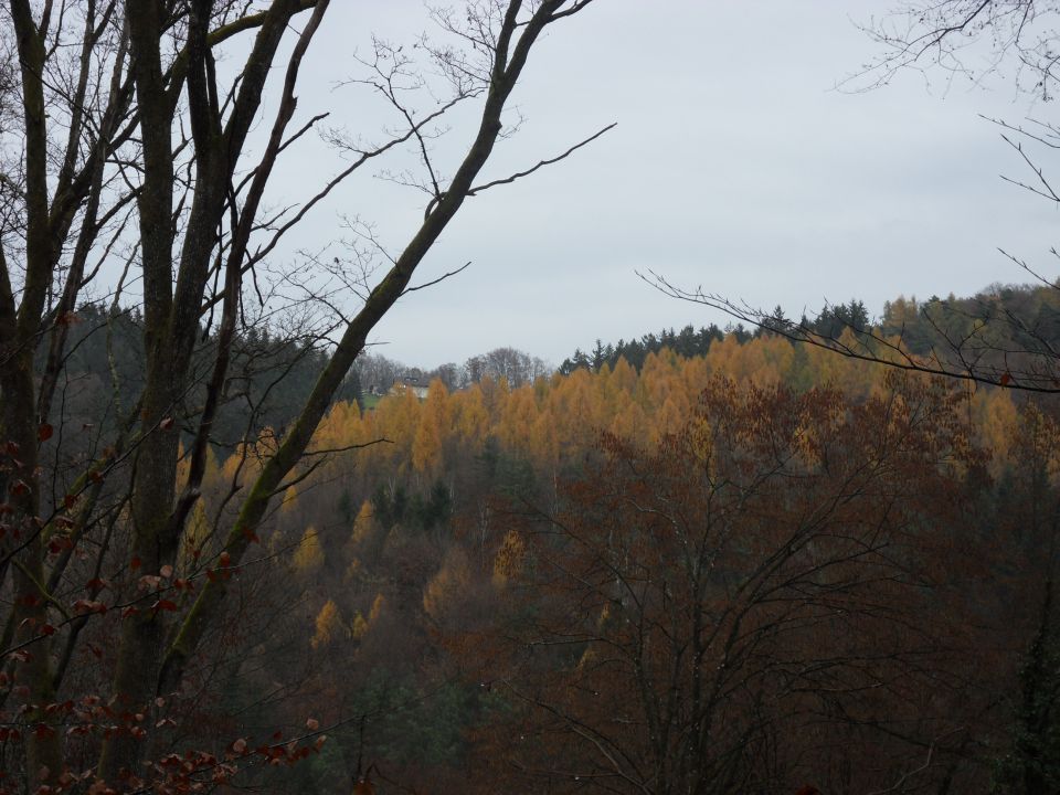 19. 11. 2016 - foto povečava