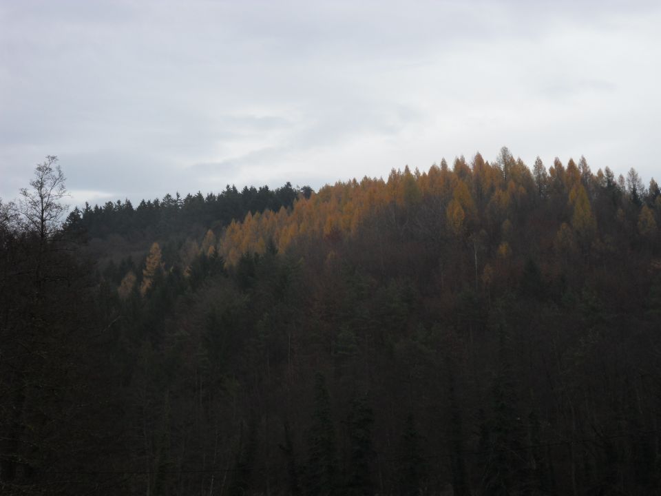 19. 11. 2016 - foto povečava