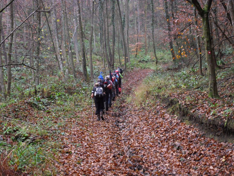 19. 11. 2016 - foto povečava