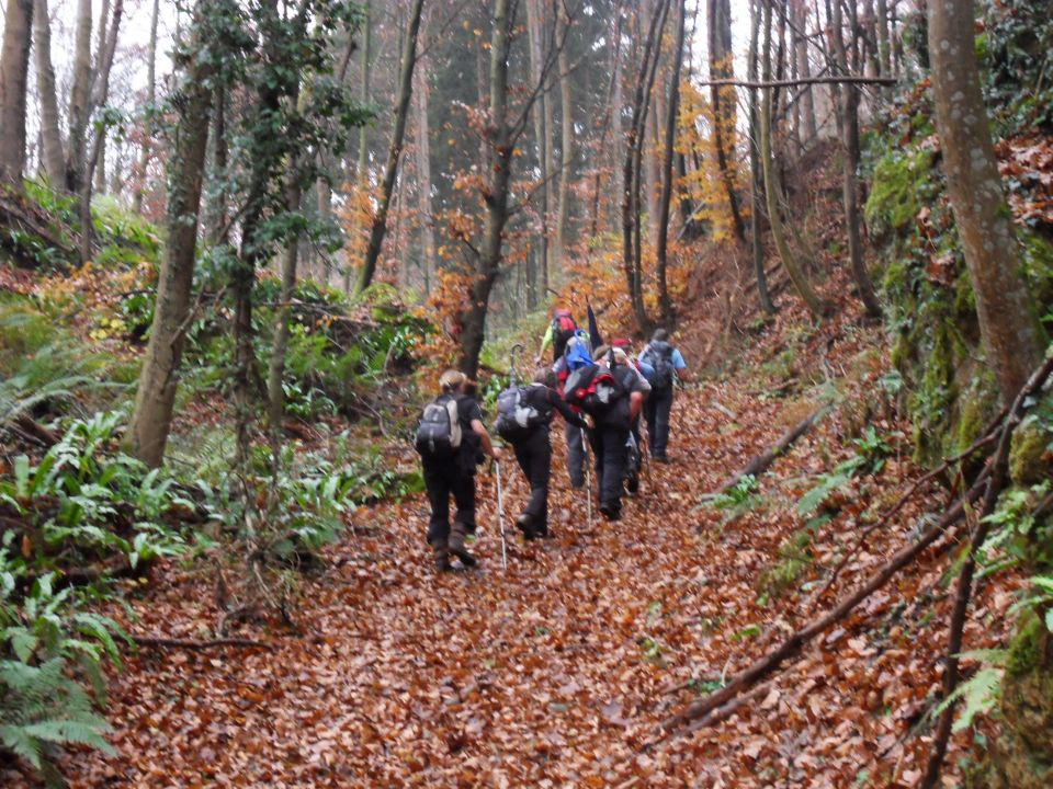 19. 11. 2016 - foto povečava