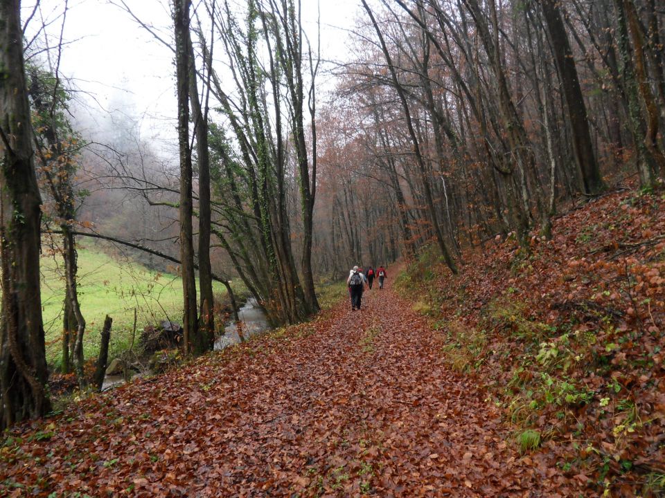 21. 11. 2016 - foto povečava