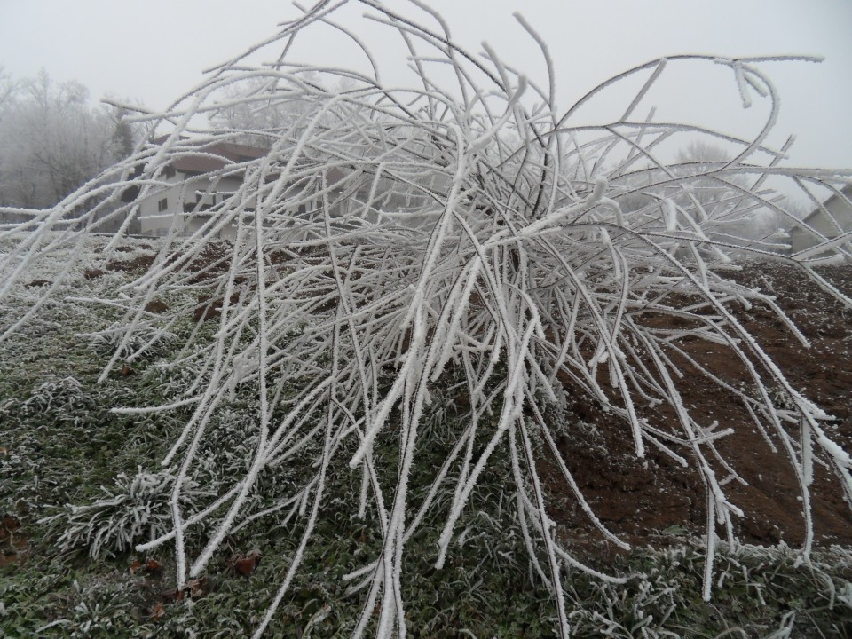 21. 12. 2016 - foto povečava