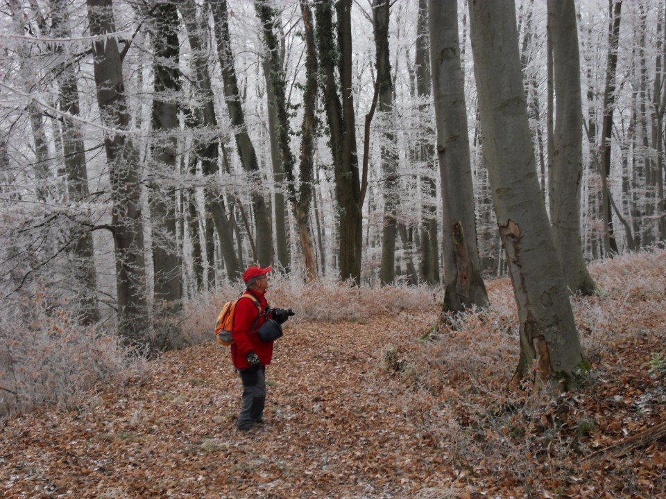 21. 12. 2016 - foto povečava