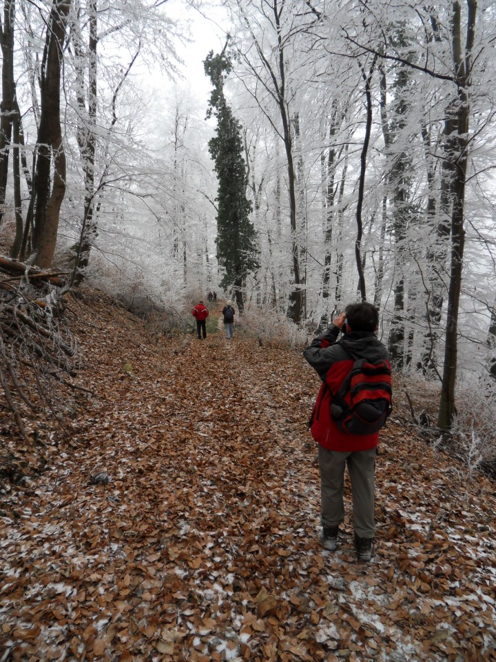 21. 12. 2016 - foto povečava