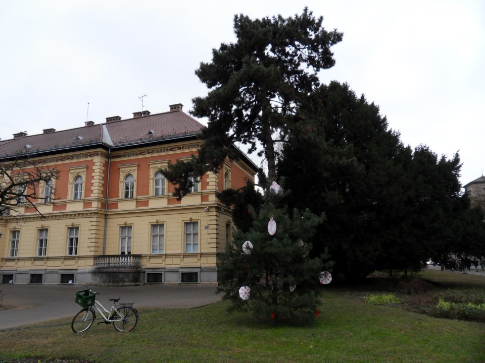 28. 12. 2016 - foto povečava