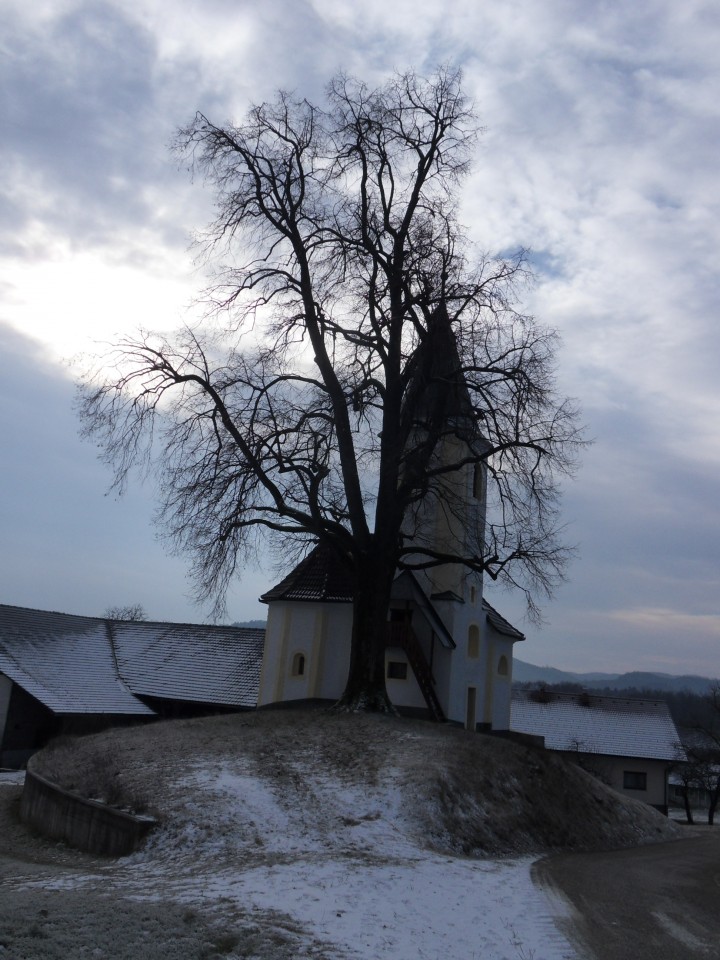 4. 1. 2017 - foto povečava